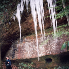 Ice on the Sheltowee Trace